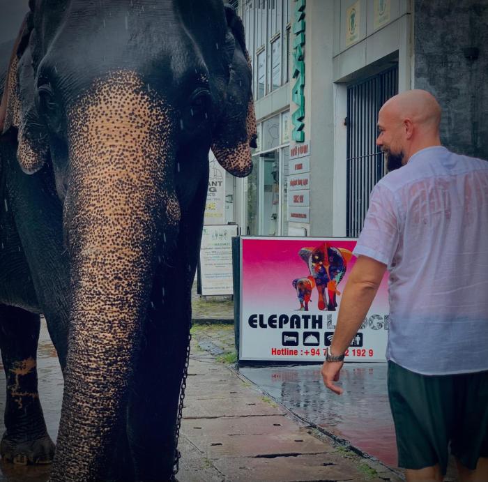 elepath lodge pinnawala