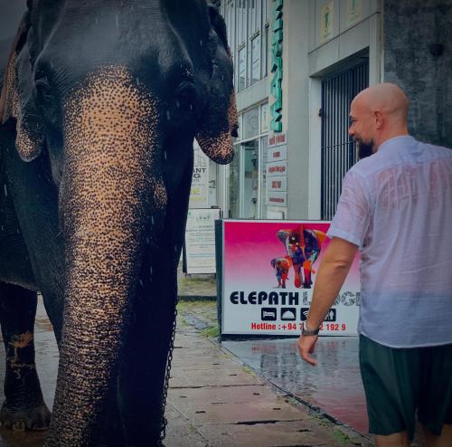 elepath lodge pinnawala