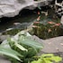 berastagi