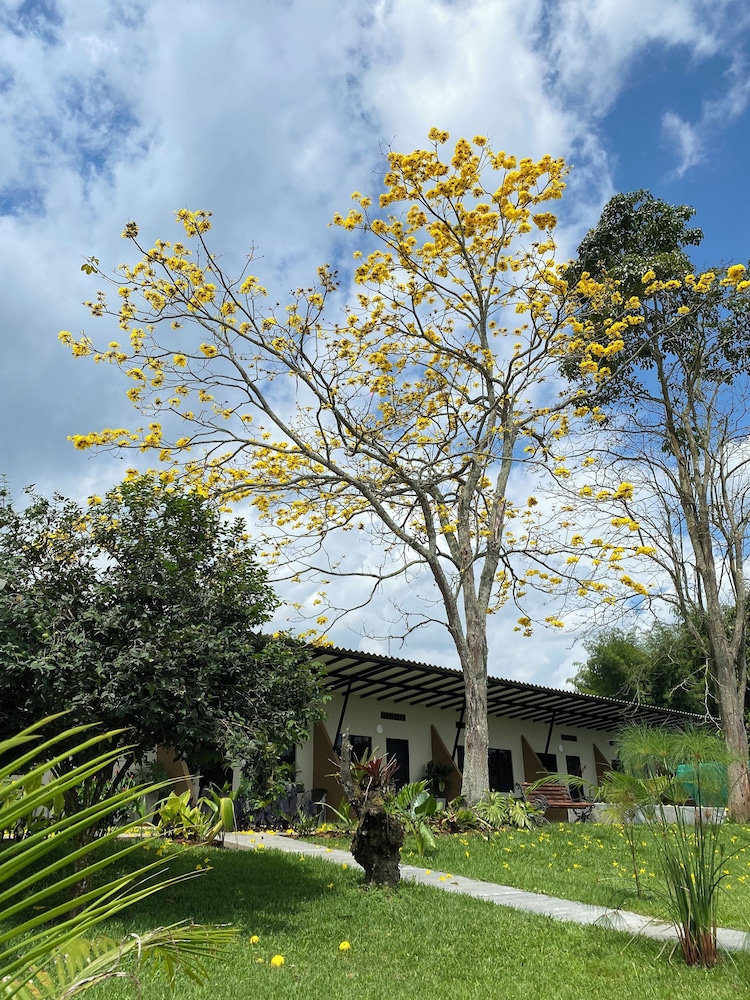 baum hotel