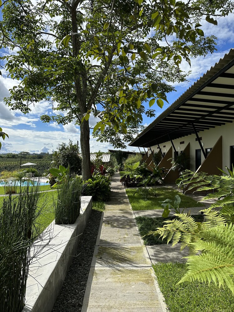 baum hotel