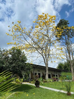 baum hotel