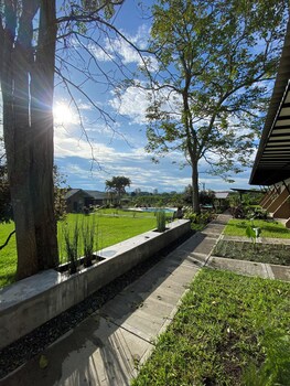 baum hotel