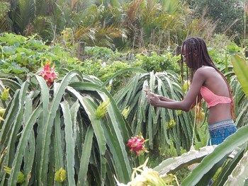 winter spring homestay center