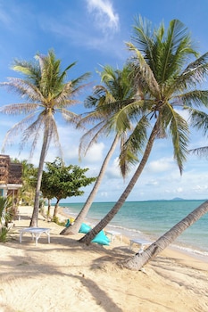 sand terrace beach bungalows