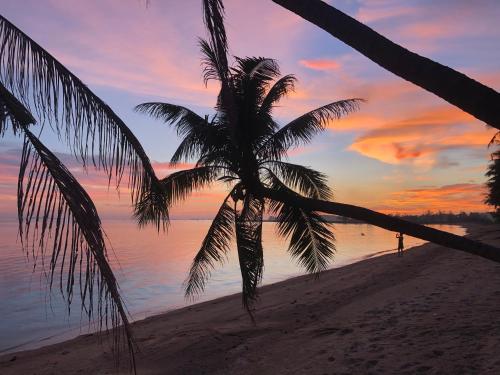 sand terrace beach bungalows