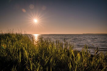 marina martinshafen lotsenhaus