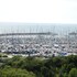 anholt