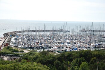 anholt
