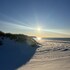 anholt