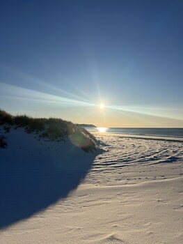 anholt