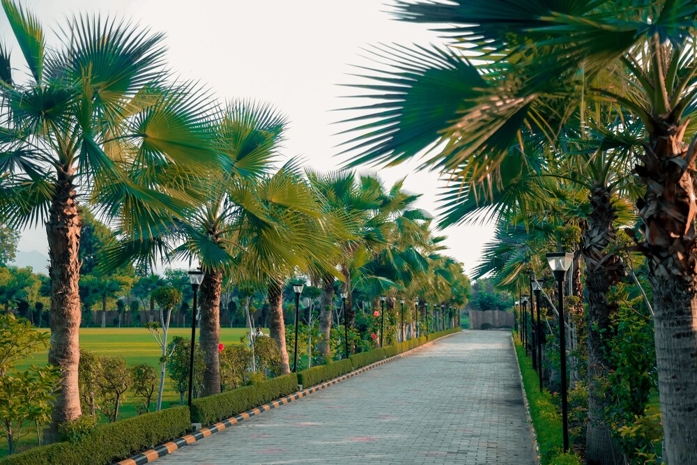 pride resort ranakpur