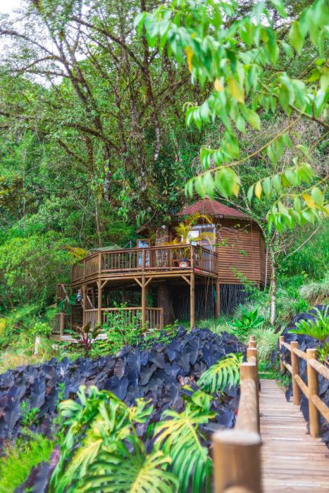 manantiales del campo