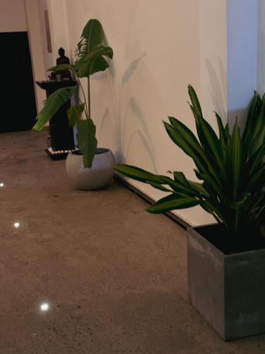 sapiens home weligama bay