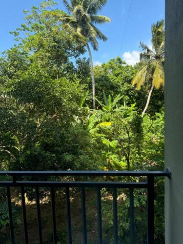 sapiens home weligama bay