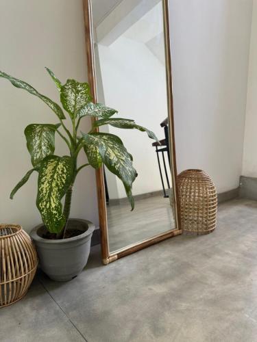 sapiens home weligama bay