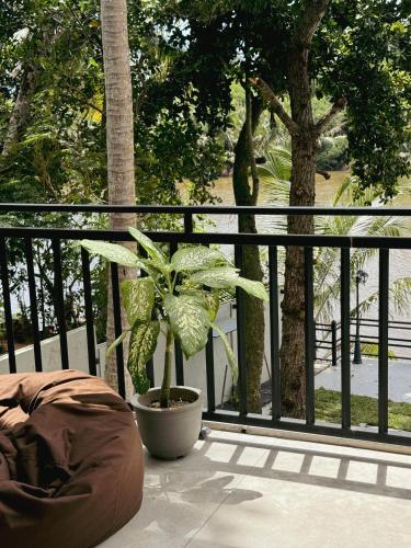 sapiens home weligama bay