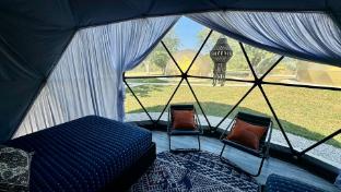 daydreamer domes