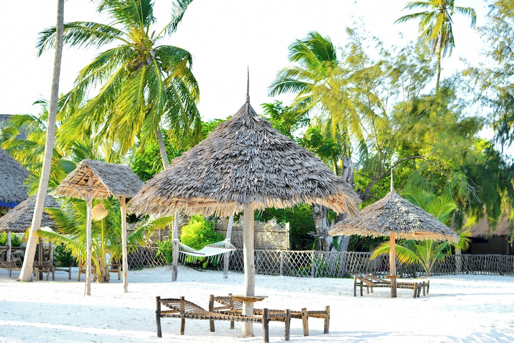 coral bay zanzibar