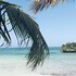 coral bay zanzibar