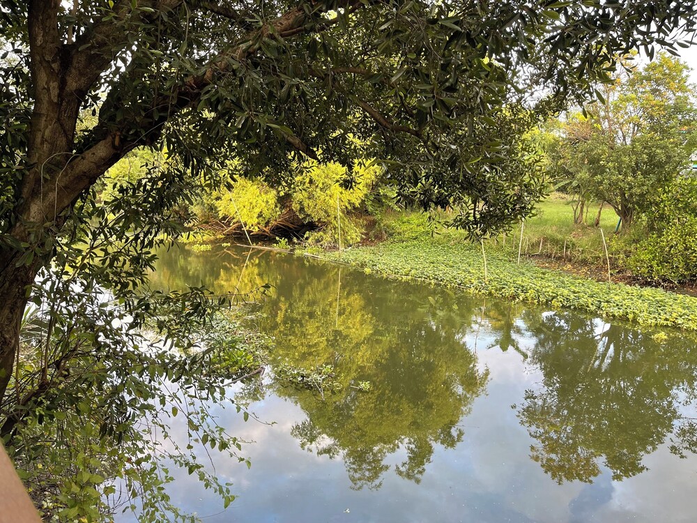 banmai87 guest house