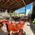 casa caribe tulum