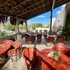 casa caribe tulum