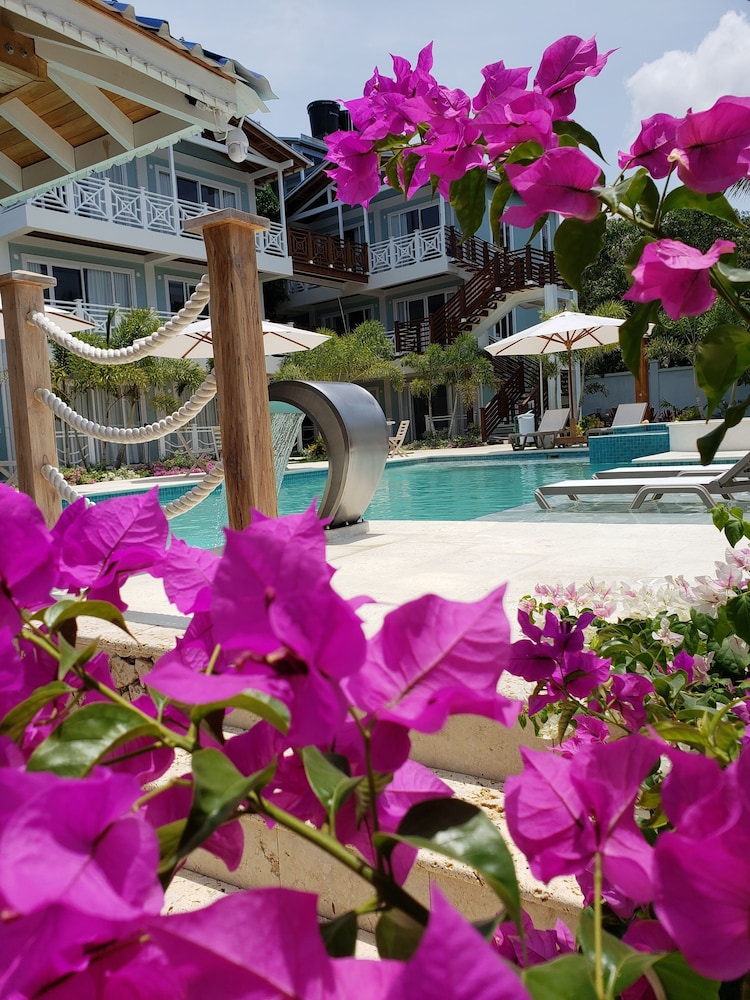 hotel oasis tolu boutique