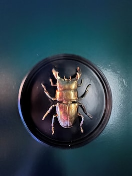 26 rue du grand maurian