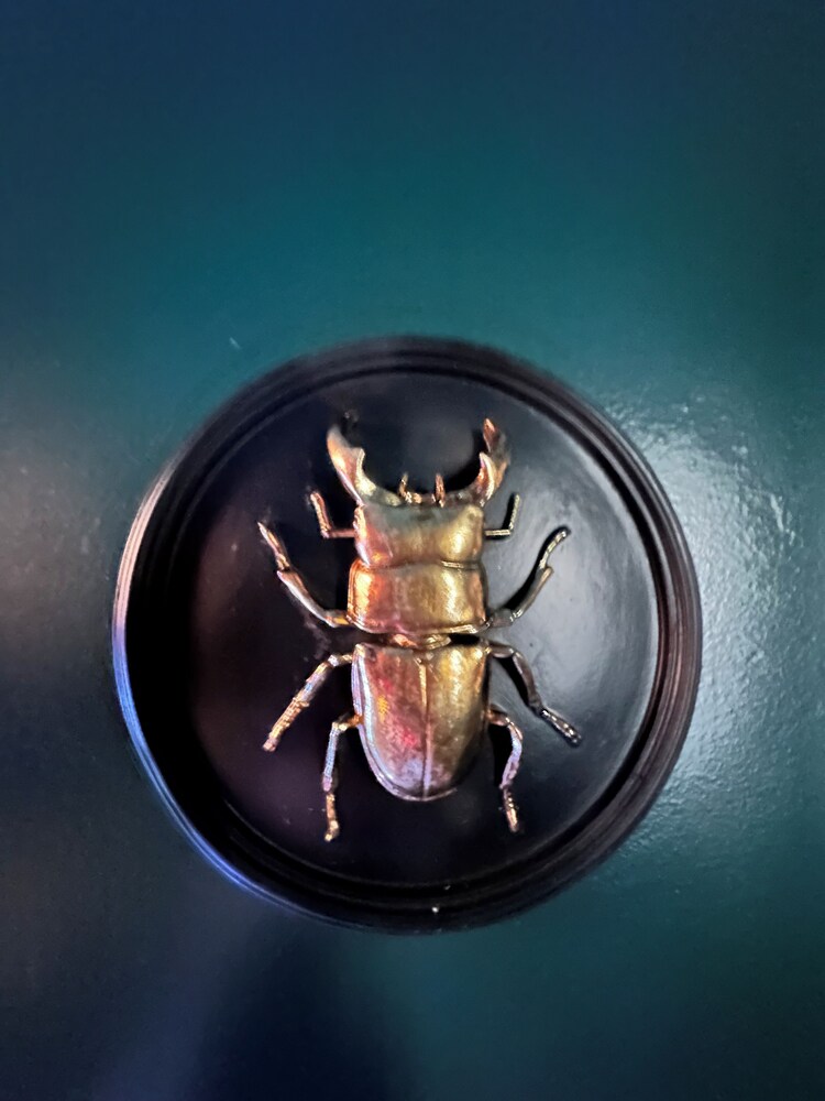 26 rue du grand maurian