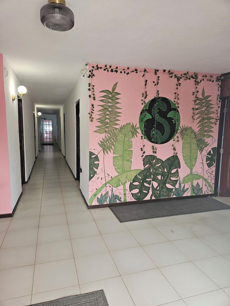 selva boutique hotel luquillo oceanfront retreat adults only