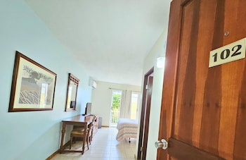 selva boutique hotel luquillo oceanfront retreat adults only