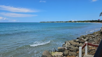selva boutique hotel luquillo oceanfront retreat adults only