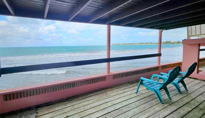 selva boutique hotel luquillo oceanfront retreat adults only