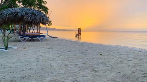 la isla bonita