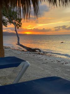 la isla bonita