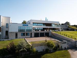 cehu silvaniei