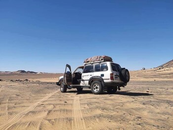 oasis panorama hotel