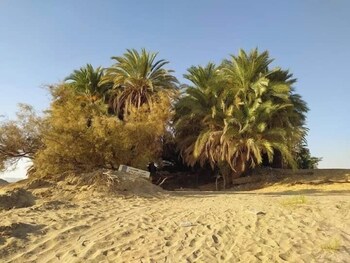 oasis panorama hotel