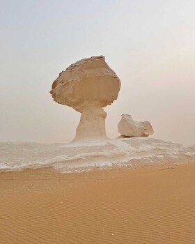 oasis panorama hotel