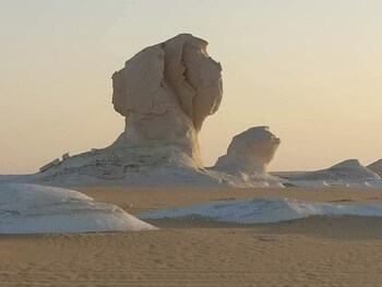 oasis panorama hotel