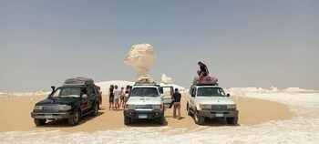 oasis panorama hotel