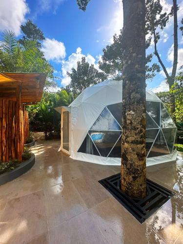 palo alto glamping hotel