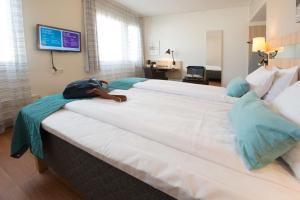 Scandic Sundsvall City,Sundsvall>>Medelpad,3 star
