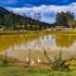 teresopolis