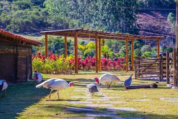 teresopolis