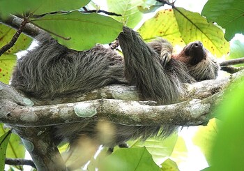 alborada boutique stay unids