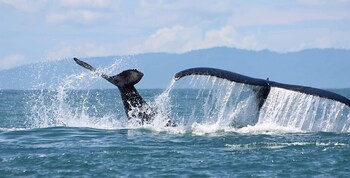 alborada boutique stay unids