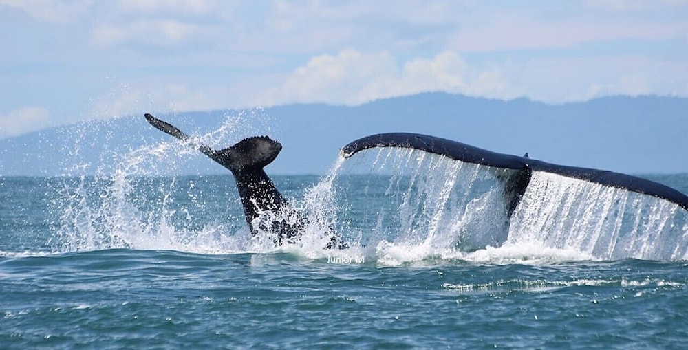 alborada boutique stay unids