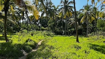 casa xue alma lodge